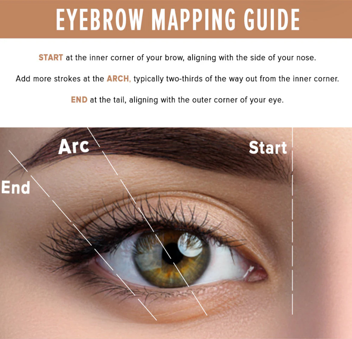 Character Brow Palette - PBP001