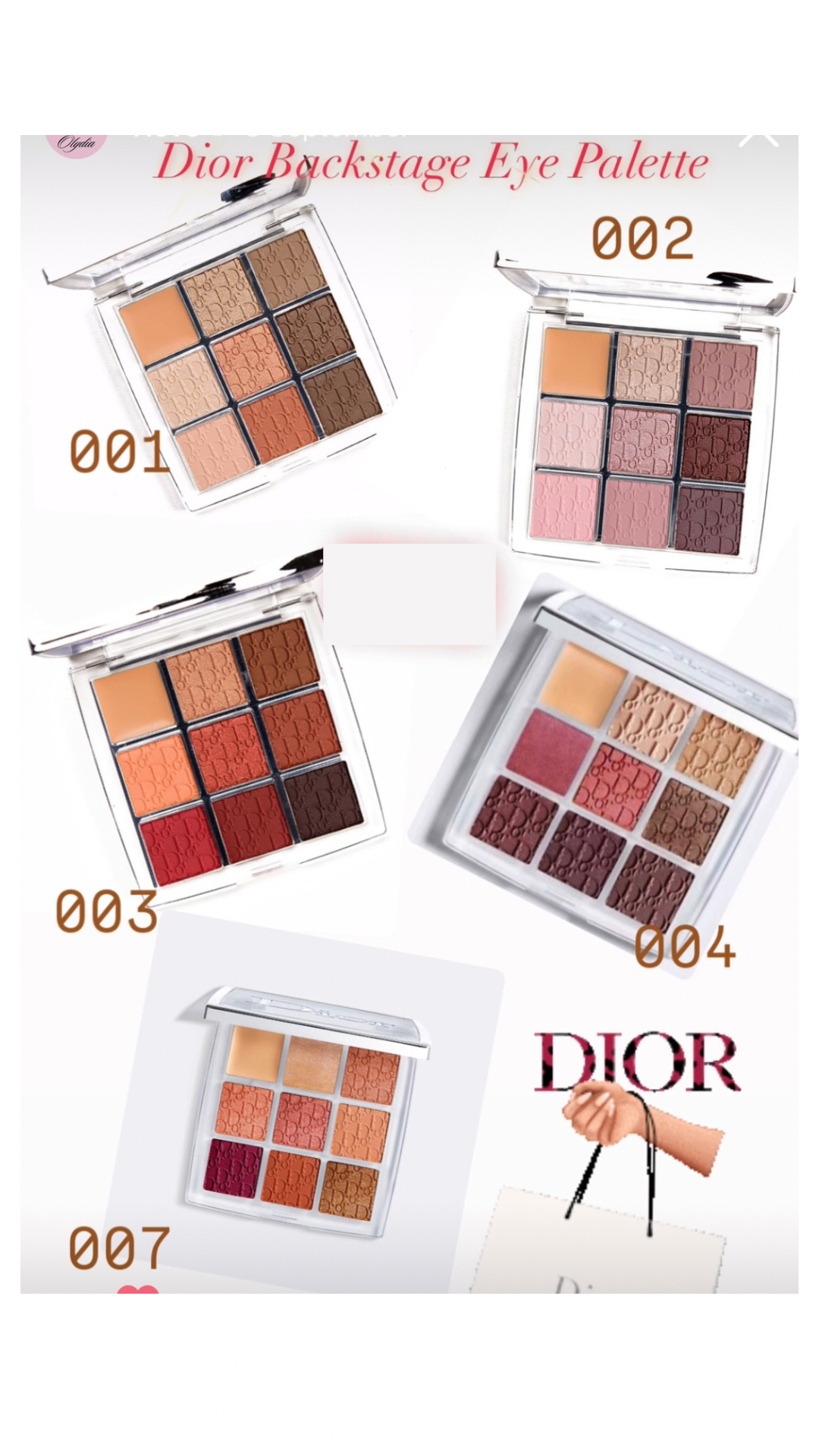 Dior Backstage eye palette