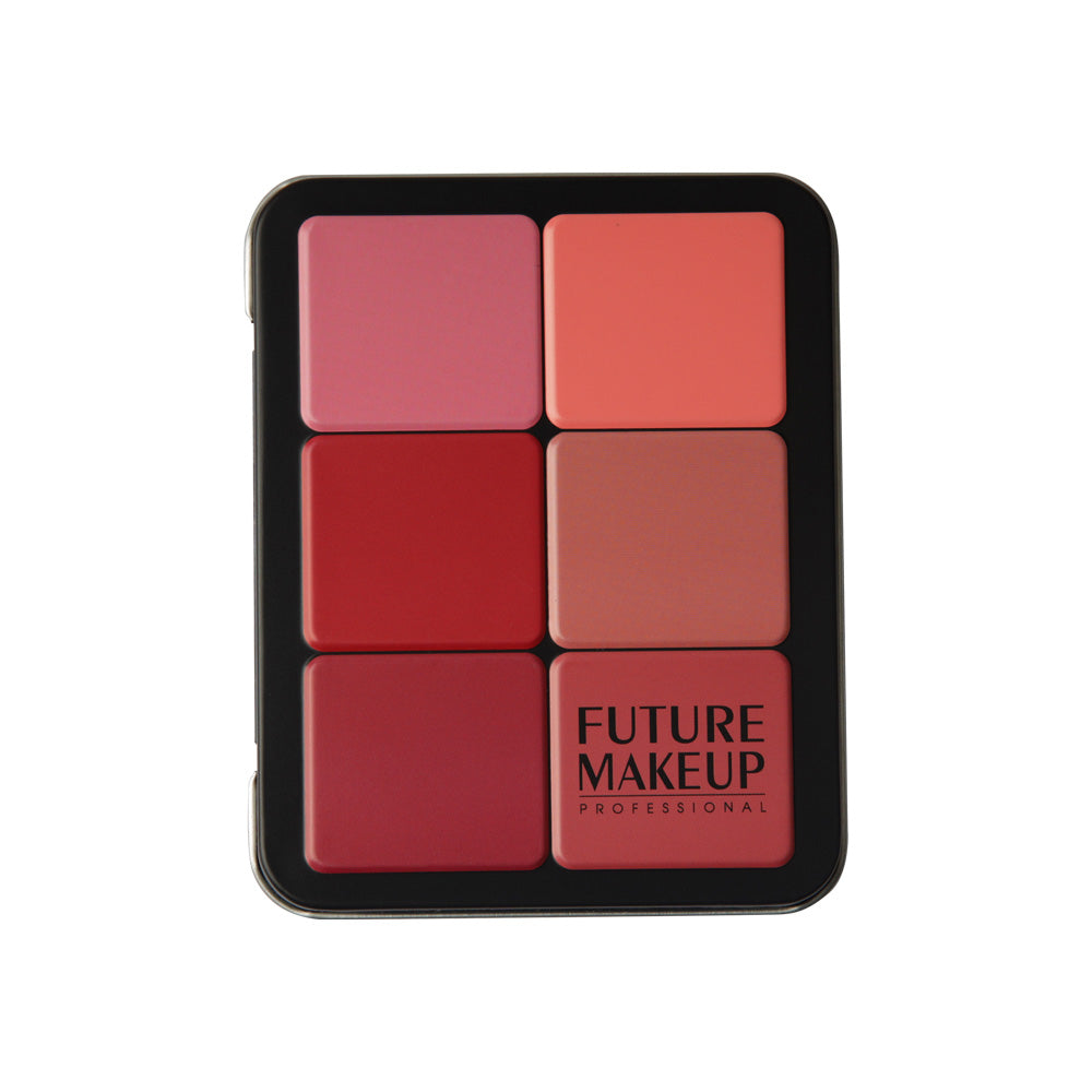 Future Makeup - 12 Color Contour/Blush Cream Palette – FU103